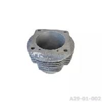 A29-01-002